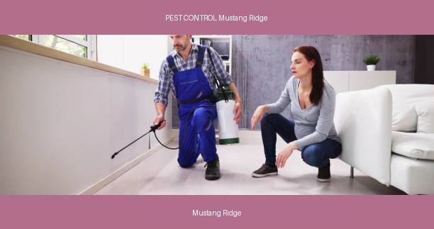PEST CONTROL Mustang Ridge